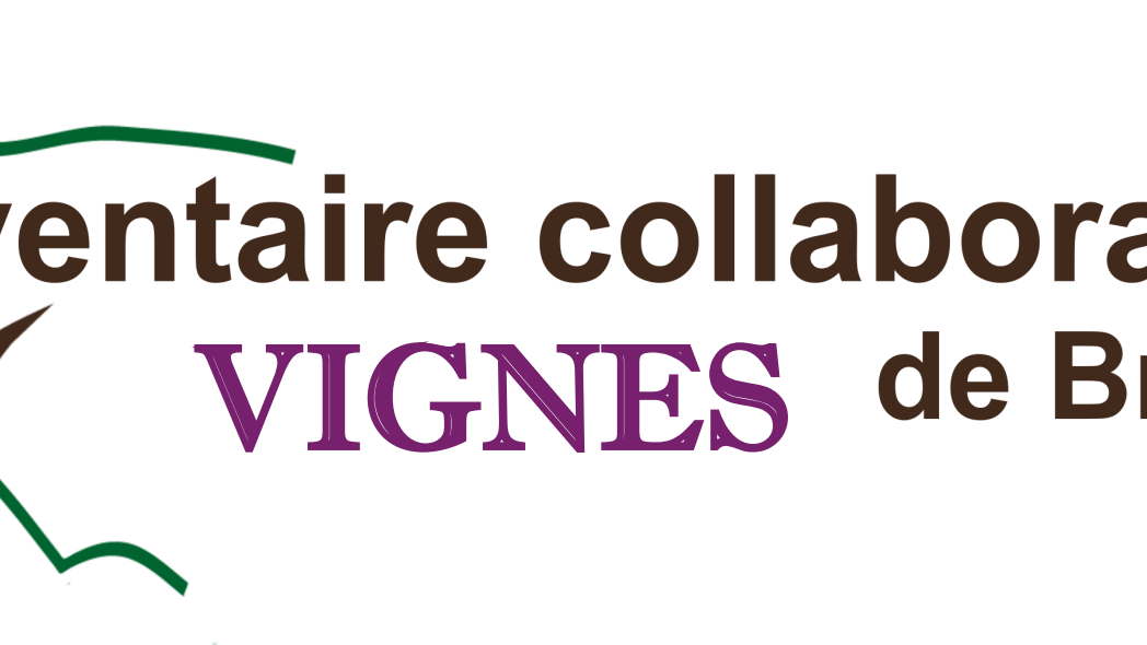 Inventaire collaboratif des vignes de Bretagne Logo de l'inventaire collaboratif des vignes de Bretagne