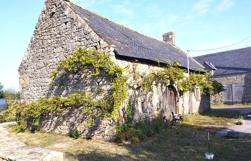 Photo d'une vieille vigne courant le long des murs d'une bâtisse en pierre, notamment au dessus de la porte